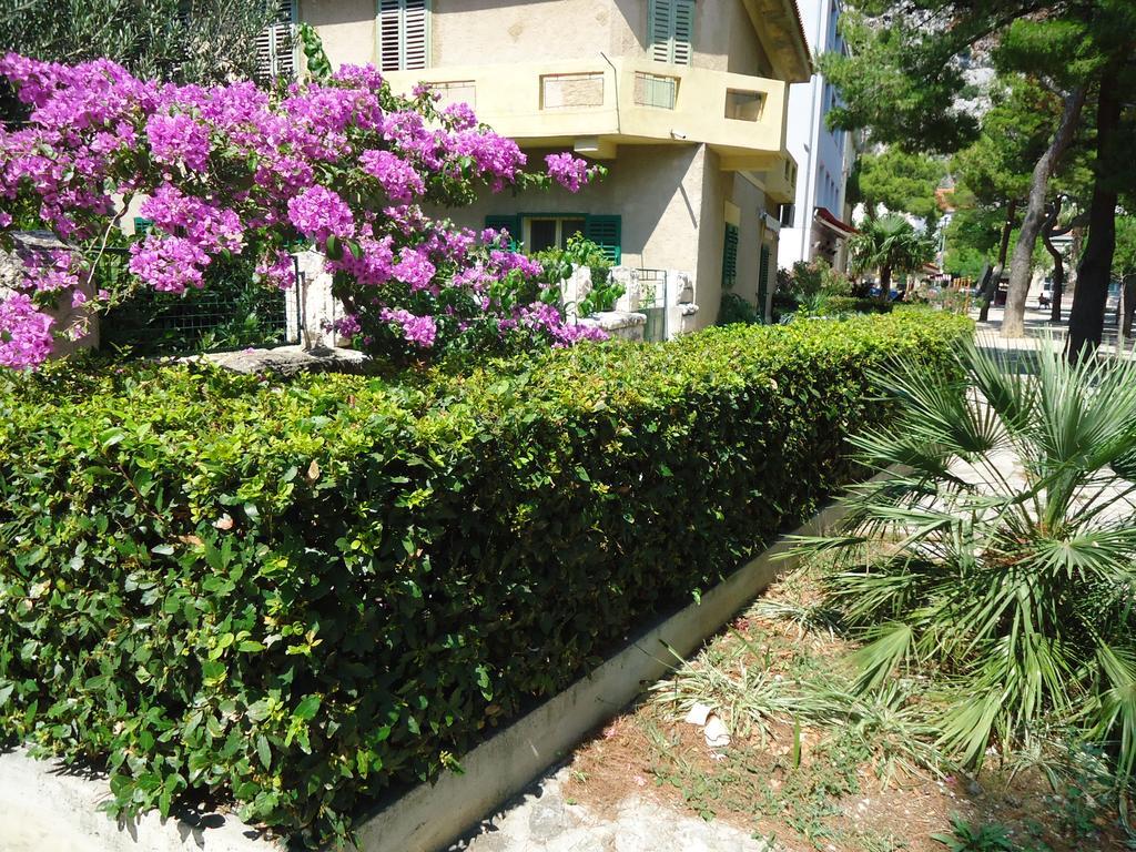 Omis Apartment On The Beach Exteriér fotografie